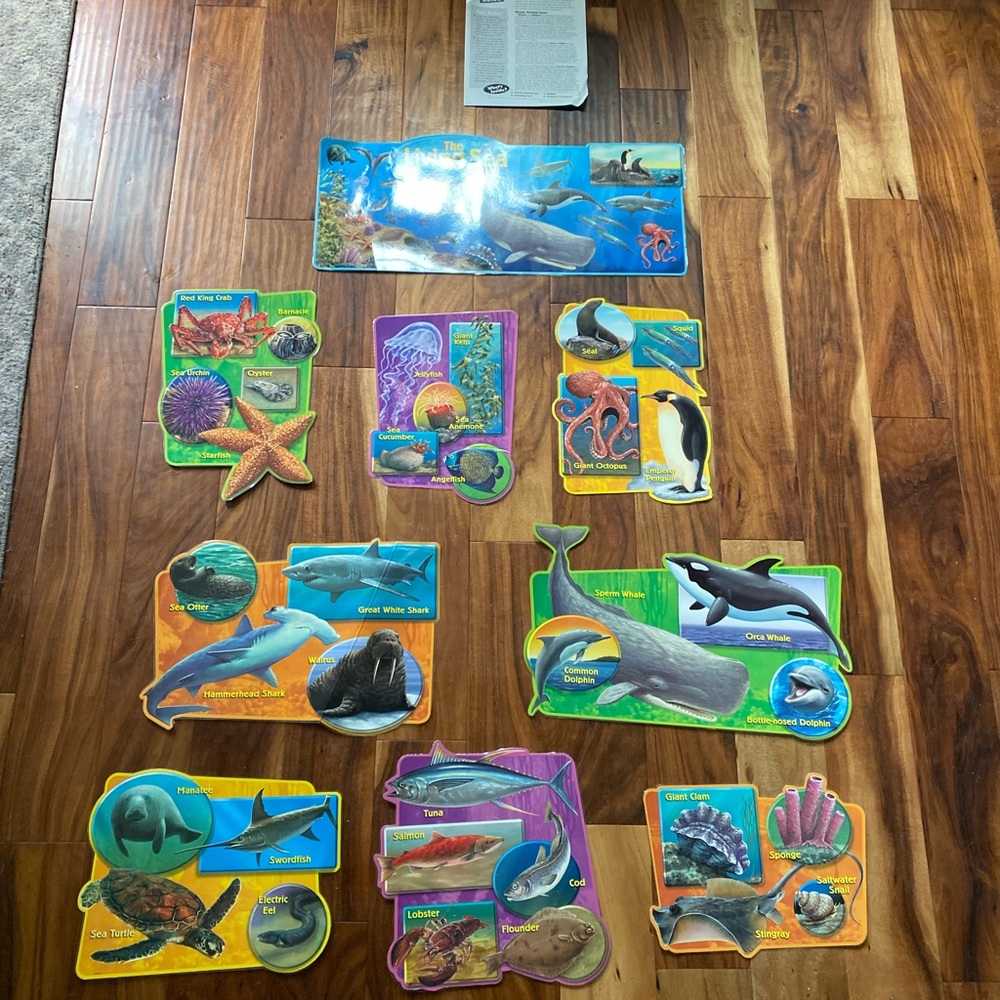 Classroom Living Sea Bulletin Board